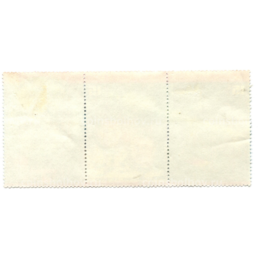 Марка «96 суток в космосе на борту станции «Салют-6» 1978 год (вид 2)