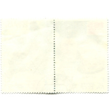 Марка «Л.И. Попов, В.В.Рюмин — 185 суток в космосе» 1980 год (вид 2)