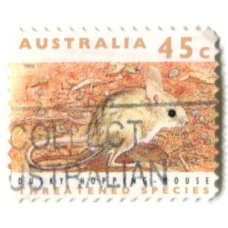 Марка «Тушканчиковая мышь» 1992 год Австралия