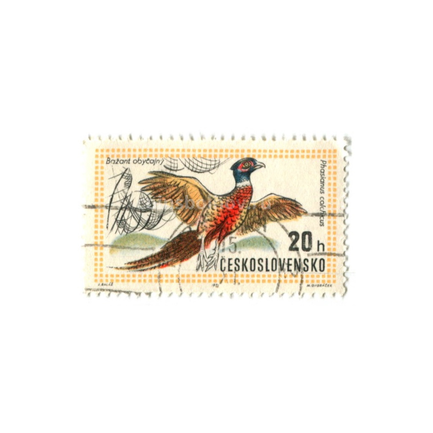 Марка «Фазан обыкновенный» 1971 год Чехословакия