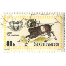 Марка «Муфлон» 1971 год Чехословакия