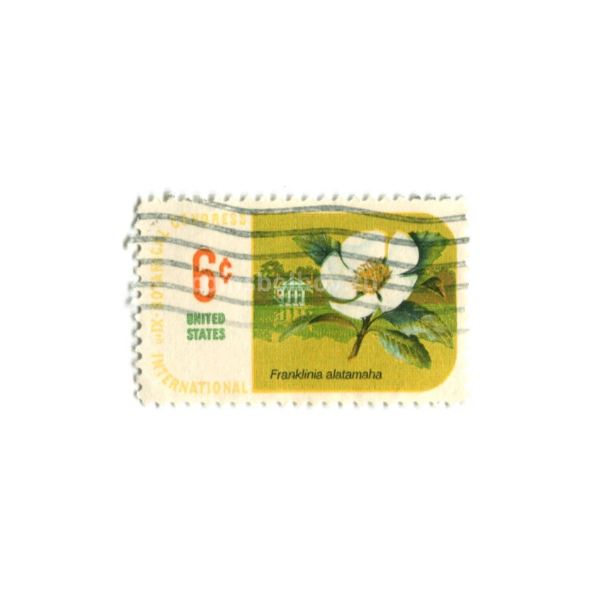 Марка «11-й Международный ботанический конгресс — Франклиния Алатамаха» 1959 год США