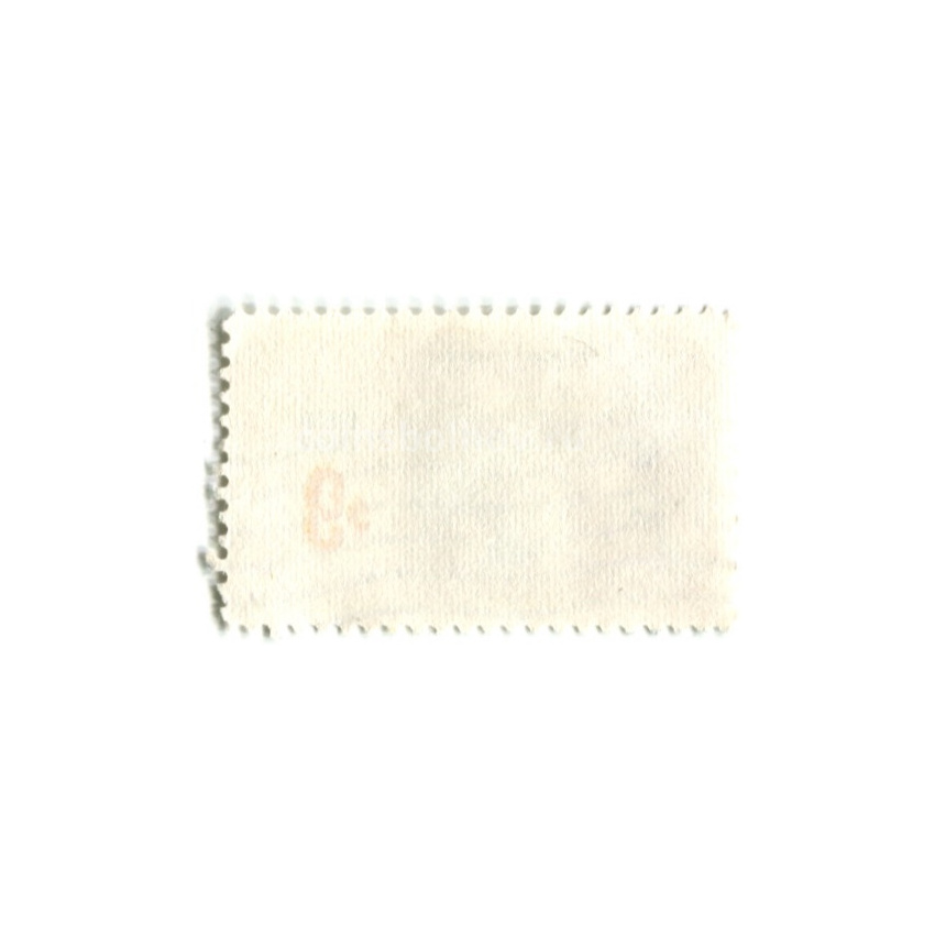 Марка «11-й Международный ботанический конгресс — Франклиния Алатамаха» 1959 год США (вид 2)