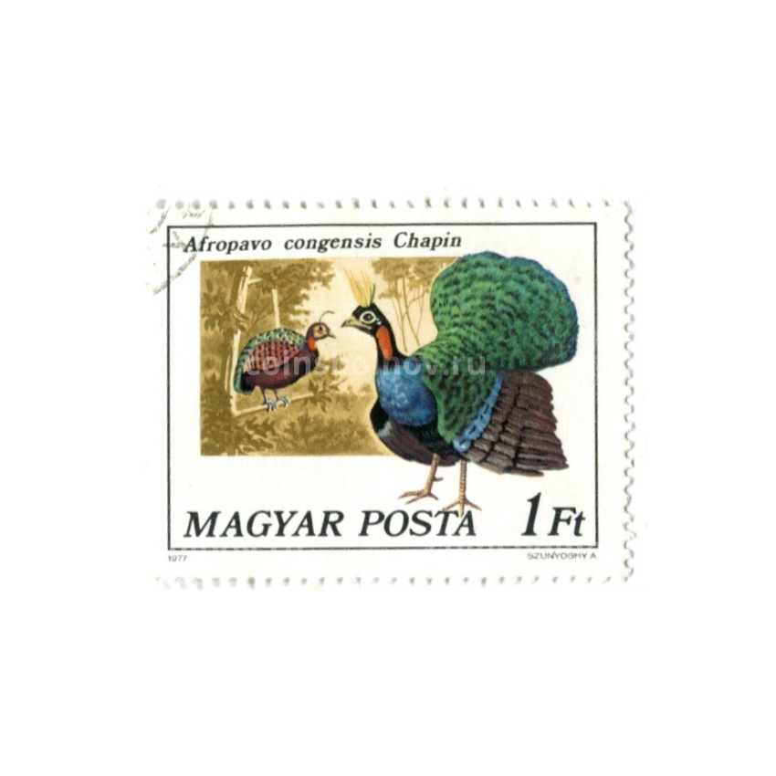 Марка «Африканский Конголезский павлин» 1977 год Венгрия