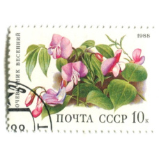 Марка «Сочевичник весенний» 1988 год
