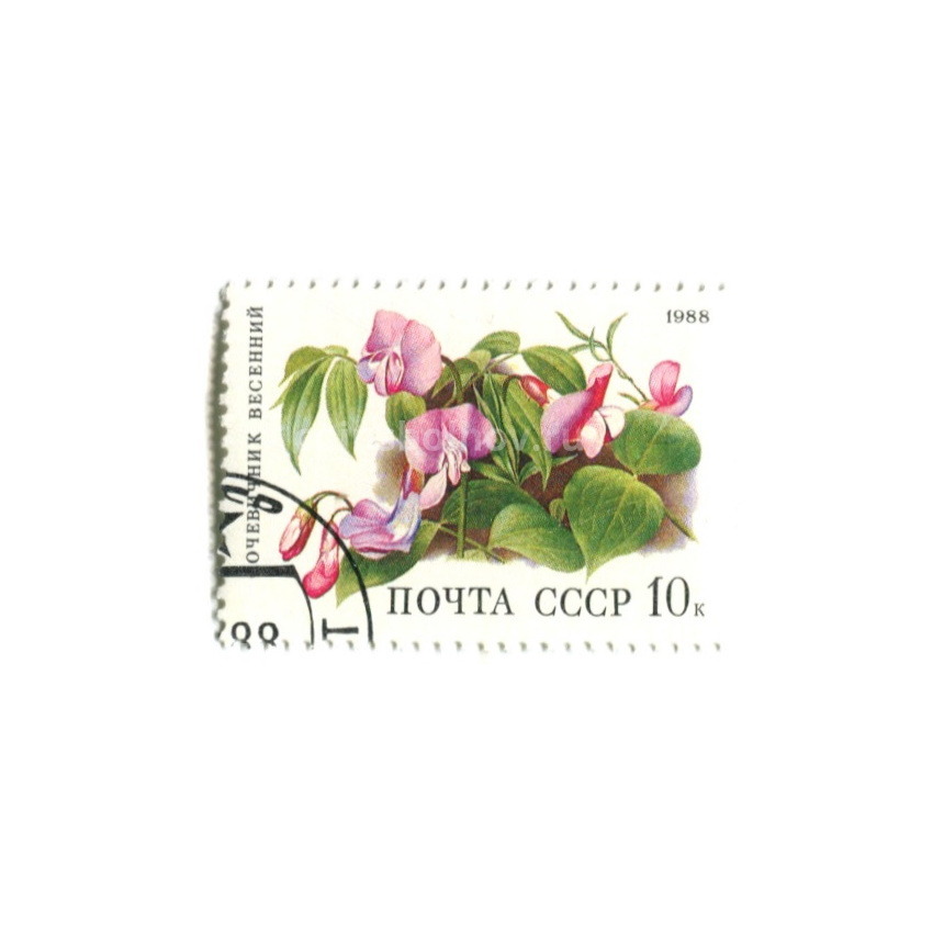 Марка «Сочевичник весенний» 1988 год