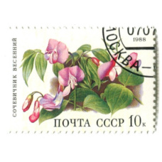 Марка «Сочевичник весенний» 1988 год