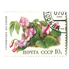 Марка «Сочевичник весенний» 1988 год