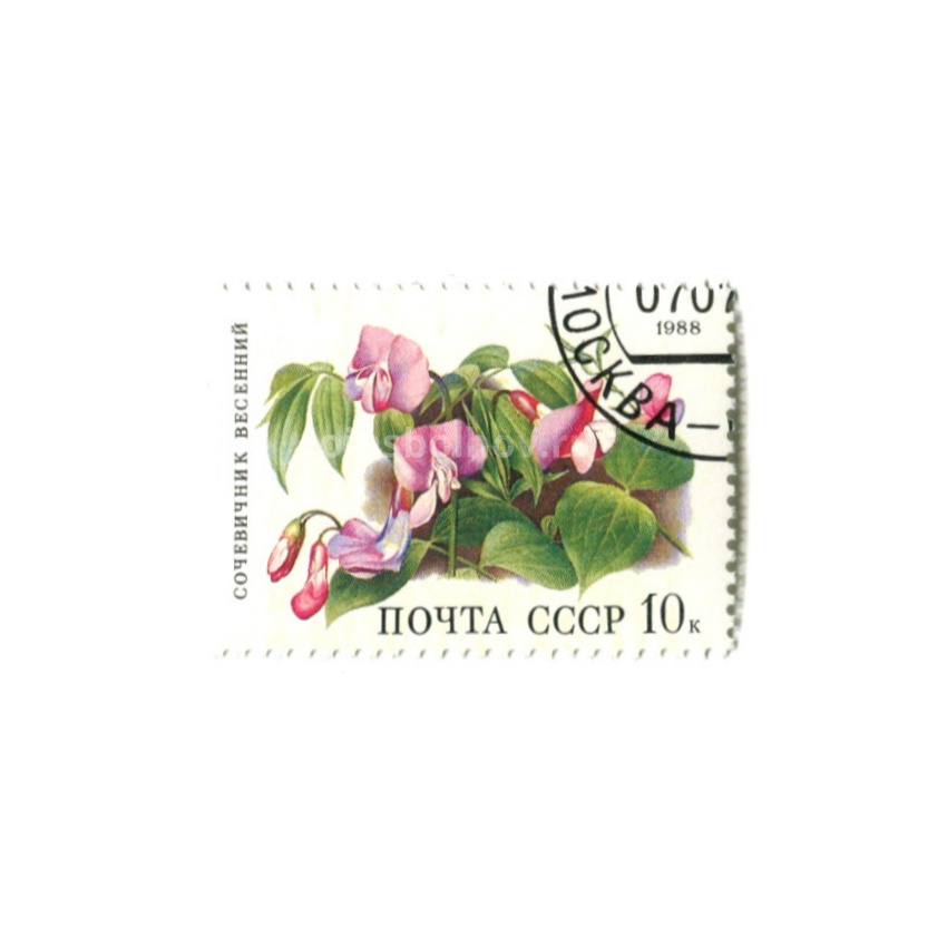 Марка «Сочевичник весенний» 1988 год