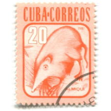 Марка «Кубинский соленодон» 1981 год Бразилия