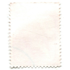 Марка «Кубинский соленодон» 1981 год Бразилия (вид 2)