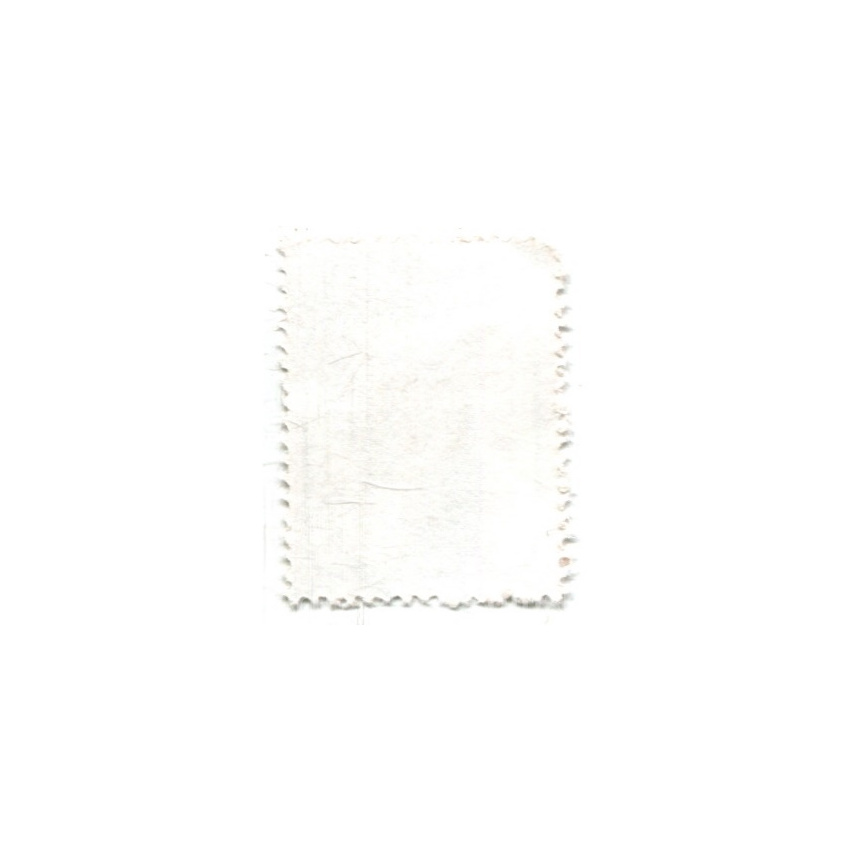 Марка «Ежовая крыса» 1981 год Бразилия (вид 2)