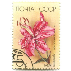 Марка «Лилия прекрасная» 1989 год