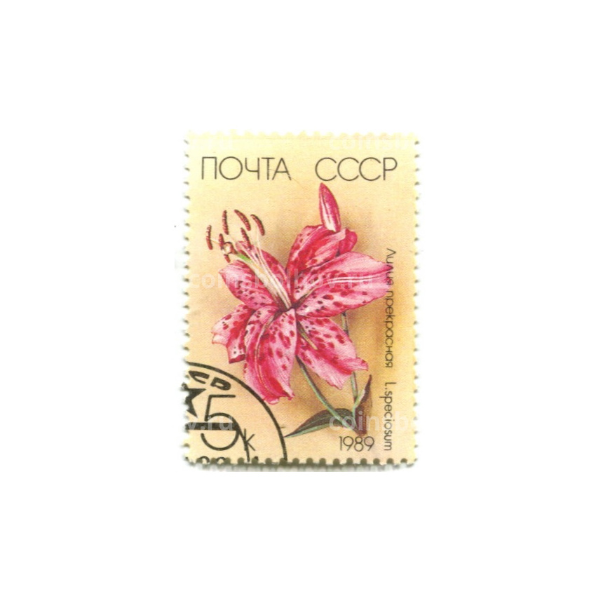 Марка «Лилия прекрасная» 1989 год
