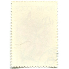 Марка «Лилия прекрасная» 1989 год (вид 2)