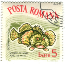 Марка «Скорпена-ерш» 1964 год Румыния