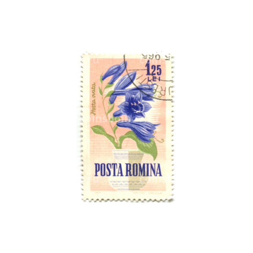 Марка «Хоста фиолетовая» 1964 год Румыния
