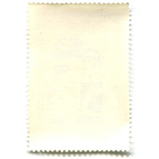 Марка «100 лет Румынскому обществу Красного креста» 1976 год Румыния (вид 2)