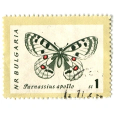Марка «Бабочка-Апполон» 1974 год Болгария (аверс)