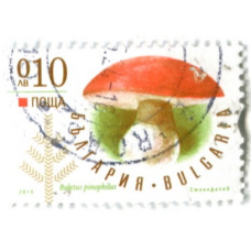 Марка «Боровик соснолюбивый» 2014 год Болгария (аверс)
