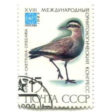 Марка «XVII Международный орнитологический конгресс — Кречетка» 1982 год (аверс)