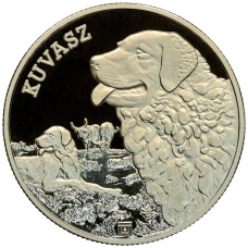 Монета 3000 форинтов 2025 года Венгрия «Венгерская порода собак — Куваш» (аверс)