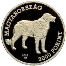 Монета 3000 форинтов 2025 года Венгрия «Венгерская порода собак — Куваш» (реверс)