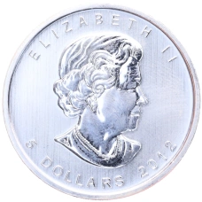 Монета 5 долларов 2012 года Канада «Природа Канады — Пума» (реверс)