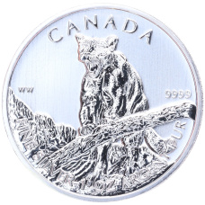 Монета 5 долларов 2012 года Канада «Природа Канады — Пума» (аверс)