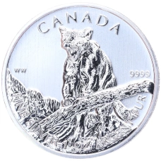 Монета 5 долларов 2012 года Канада «Природа Канады — Пума» (аверс)