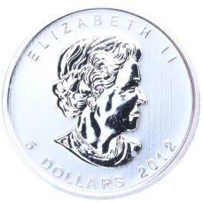 Монета 5 долларов 2012 года Канада «Природа Канады — Пума» (реверс)