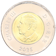 Монета 2 доллара 2025 года Канада «Чествование неизвестного солдата Канады» (реверс)