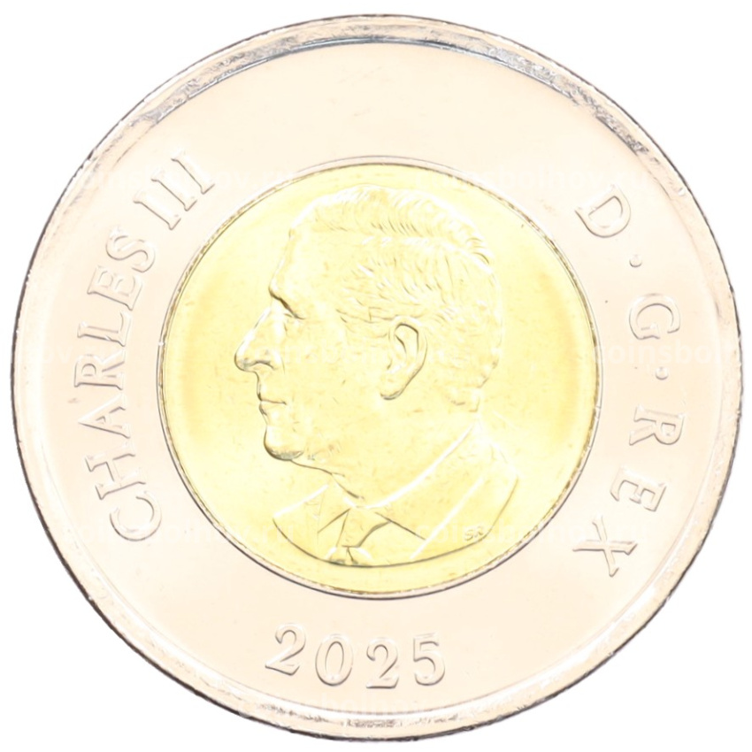 Монета 2 доллара 2025 года Канада «Чествование неизвестного солдата Канады» (Цветное покрытие) (вид 2)