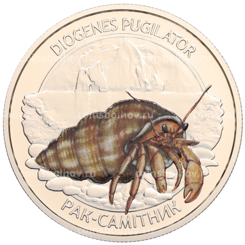 Монета 5 гривен 2025 года Украина «Глубоководные обитатели — Рак-отшельник (Обитатели Черного моря)»