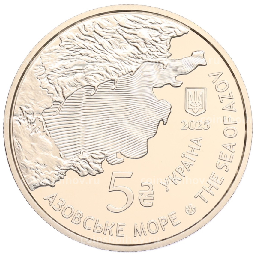 Монета 5 гривен 2025 года Украина «Глубоководные обитатели — Круглый бычок (Азовское море)» (вид 2)