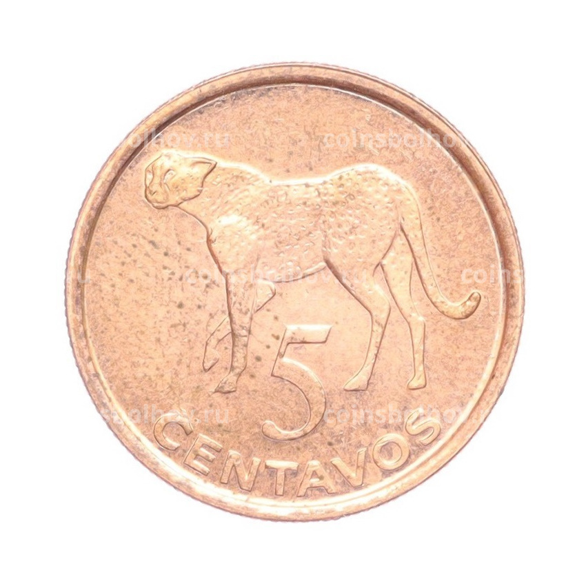 Монета 5 сентаво 2006 года Мозамбик
