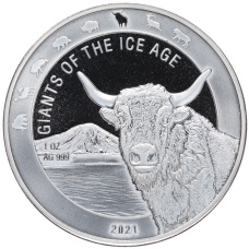Монета 5 седи 2021 года Гана —  Гиганты Ледникового периода — Тур (аверс)