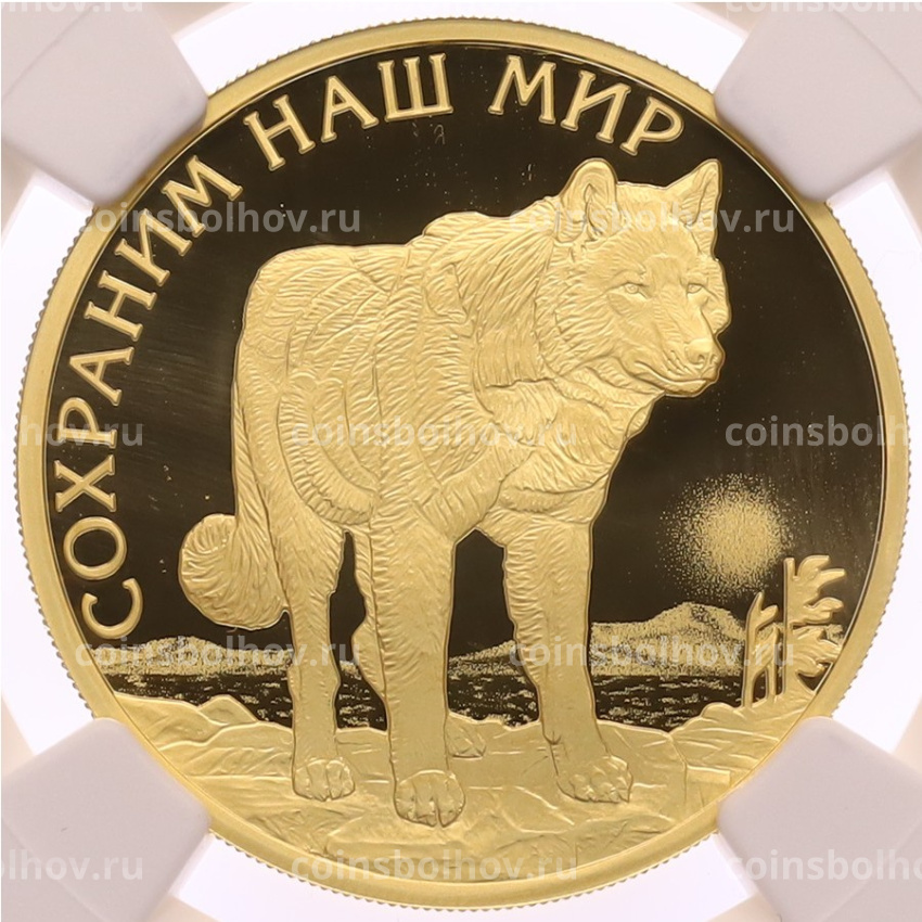 Монета 100 рублей 2020 года СПМД «Сохраним наш мир — Полярный волк» в слабе NGC (PF70 ULTRA CAMEO)