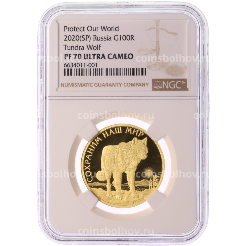 Монета 100 рублей 2020 года СПМД «Сохраним наш мир — Полярный волк» в слабе NGC (PF70 ULTRA CAMEO) (вид 3)
