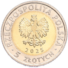 Монета 5 злотых 2025 года Польша «Открой для себя Польшу — Ратуша Бжега» (реверс)