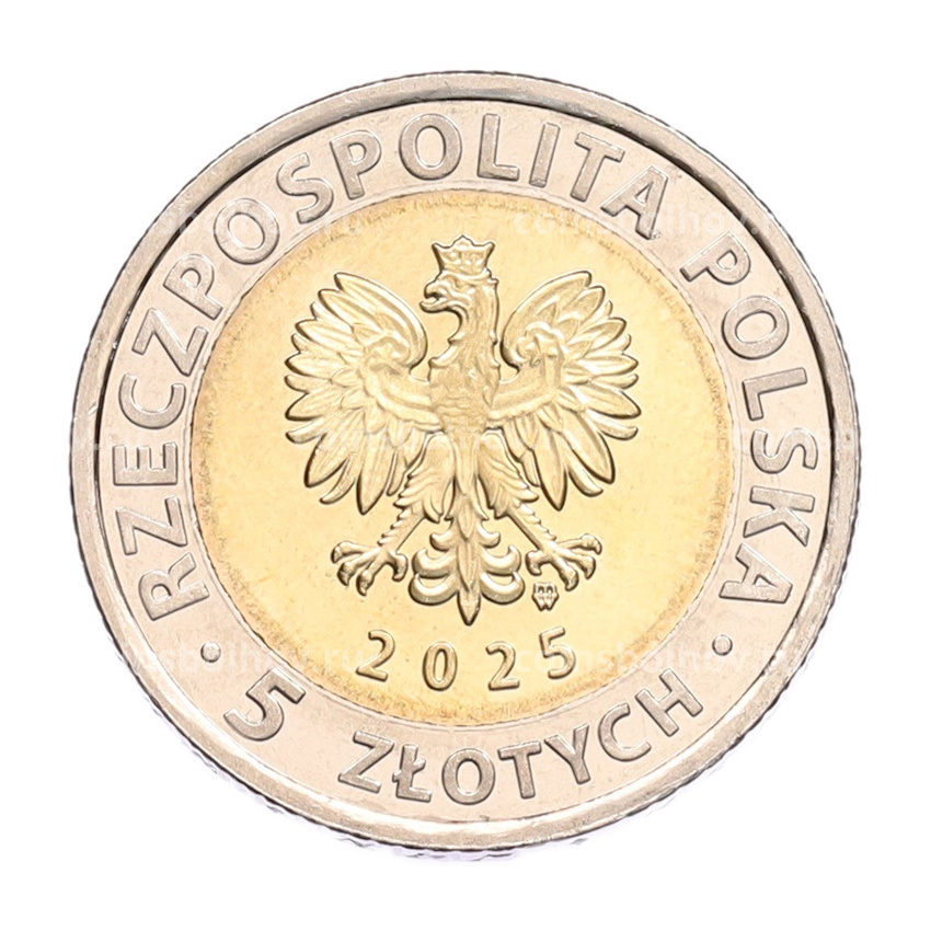 Монета 5 злотых 2025 года Польша «Открой для себя Польшу — Ратуша Бжега» (вид 2)