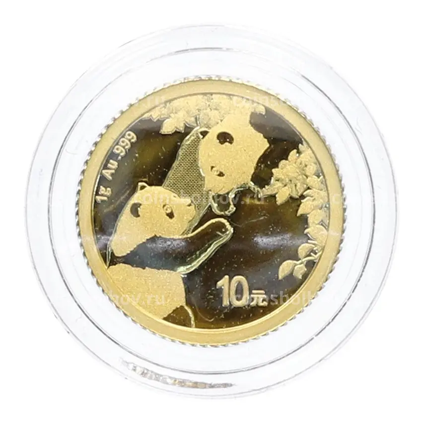 Монета 10 юаней 2023 года Китай «Панда»