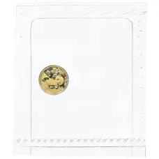 Монета 10 юаней 2020 года Китай «Панда» (аверс)