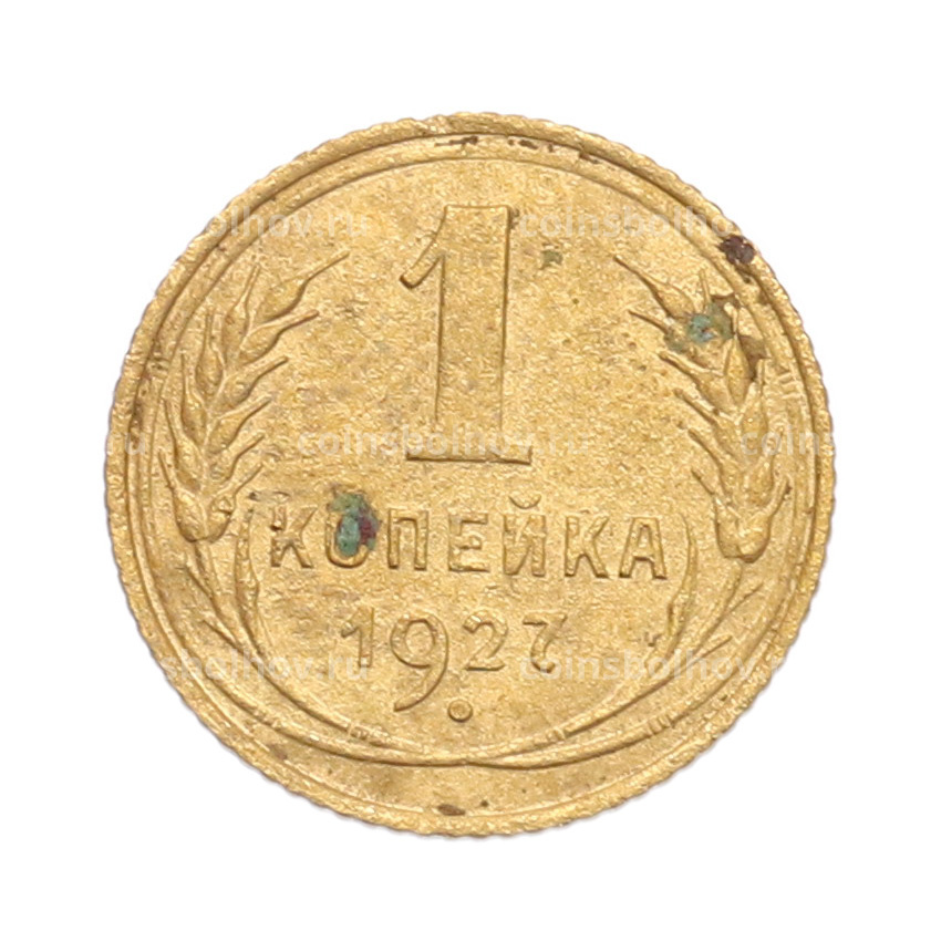 Монета 1 копейка 1927 года