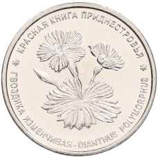 Монета 1 рубль 2025 года Приднестровье «Красная книга — Гвоздика изменчивая» (аверс)