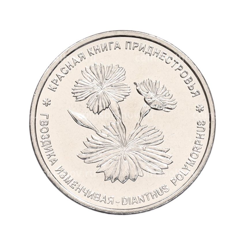 Монета 1 рубль 2025 года Приднестровье «Красная книга — Гвоздика изменчивая»