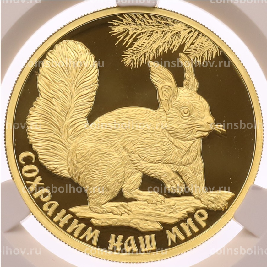 Монета 100 рублей 2023 года СПМД «Сохраним наш мир — Белка обыкновенная» в слабе CPRC (PF69 ULTRA CAMEO)