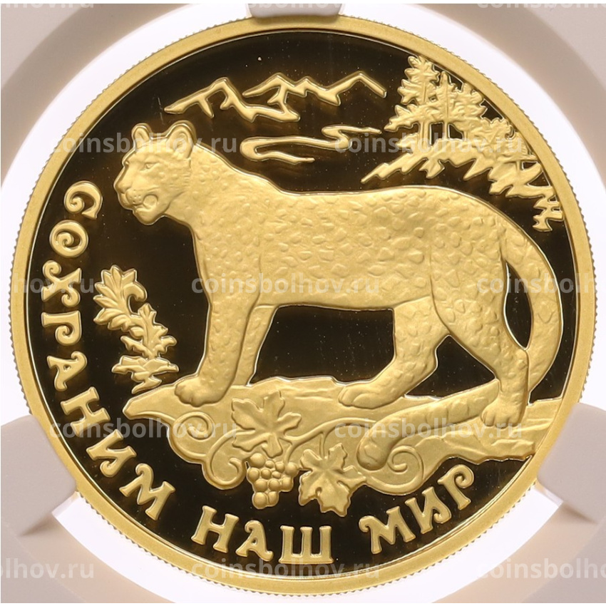 Монета 100 рублей 2011 года ММД «Сохраним наш мир — Переднеазиатский леопард» в слабе CPRC (PF69 ULTRA CAMEO)