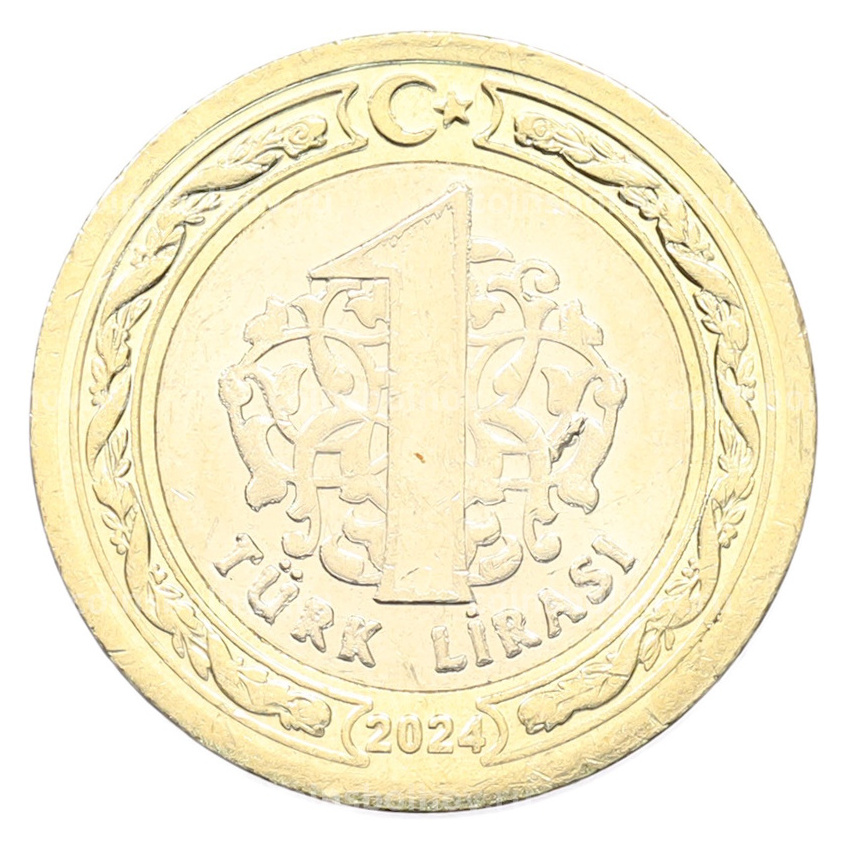 Монета 1 лира 2024 года Турция