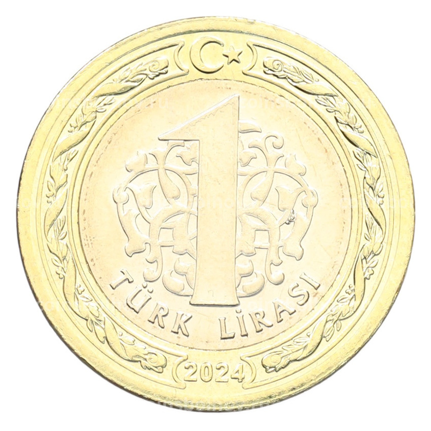 Монета 1 лира 2024 года Турция
